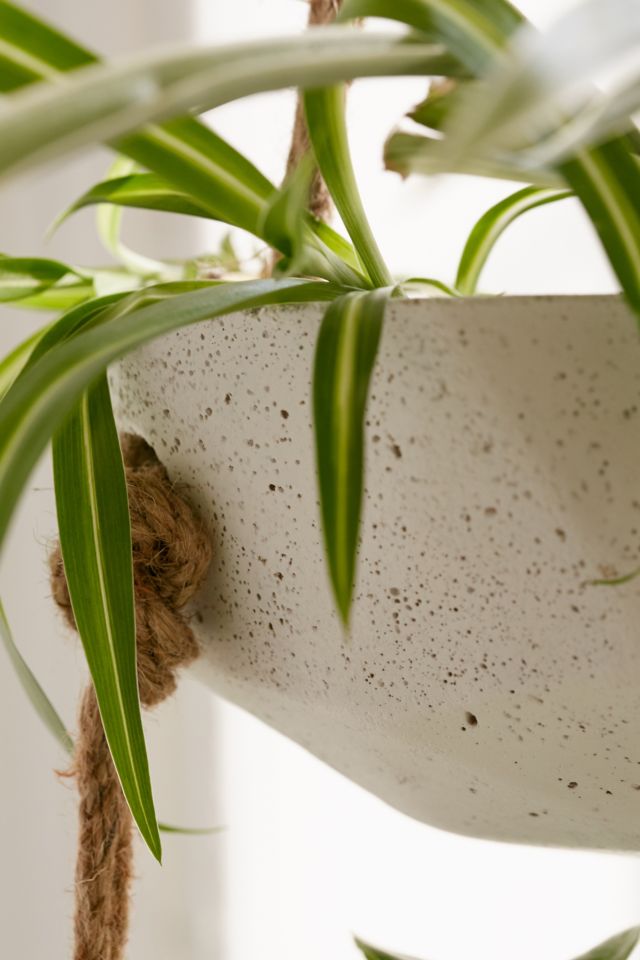 Ellis Double Hanging Planter #2