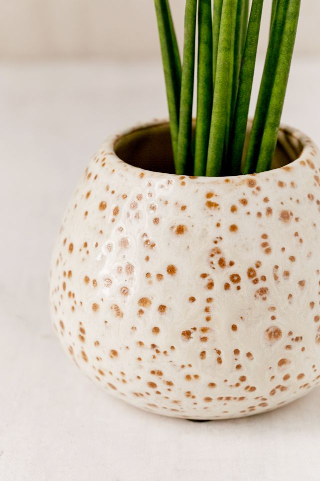 Patricia Glazed Ceramic Planter #2