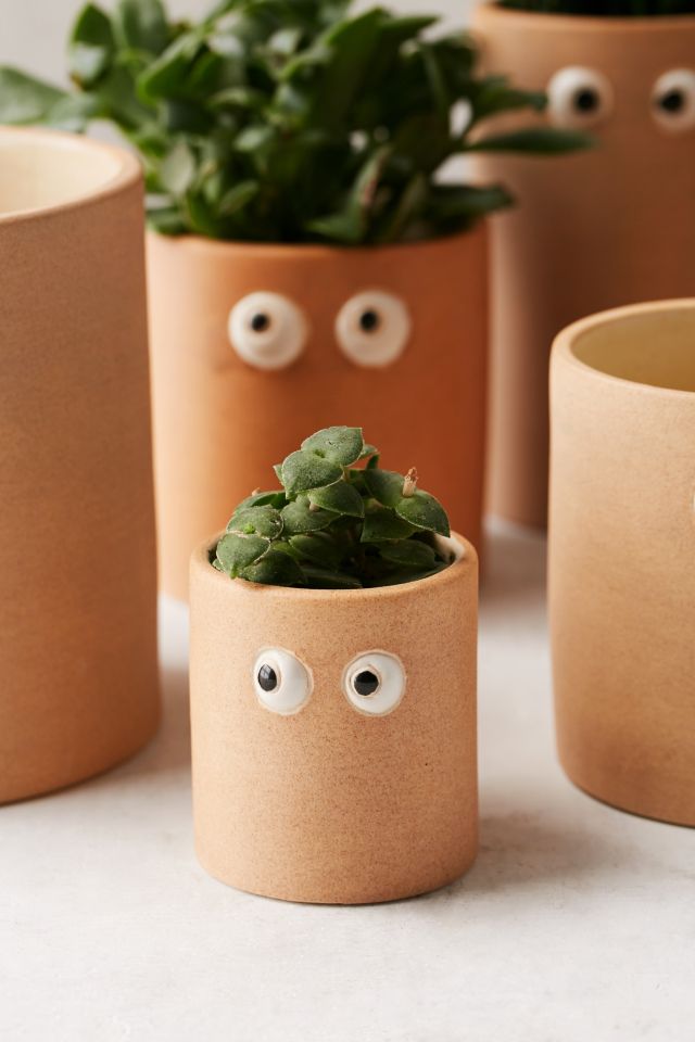 Henry Googly Eye Planter #3