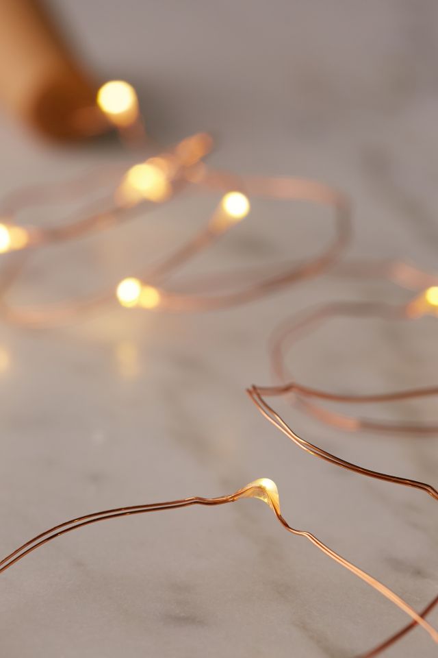 Bottle Battery Powered String Lights #1