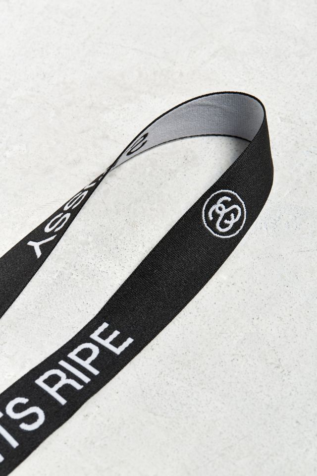 Stussy All Fruits Lanyard #2