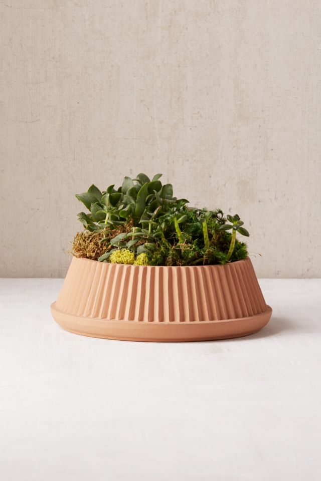 Umbra Shift Pleated Succulent Planter #1