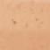 Rust