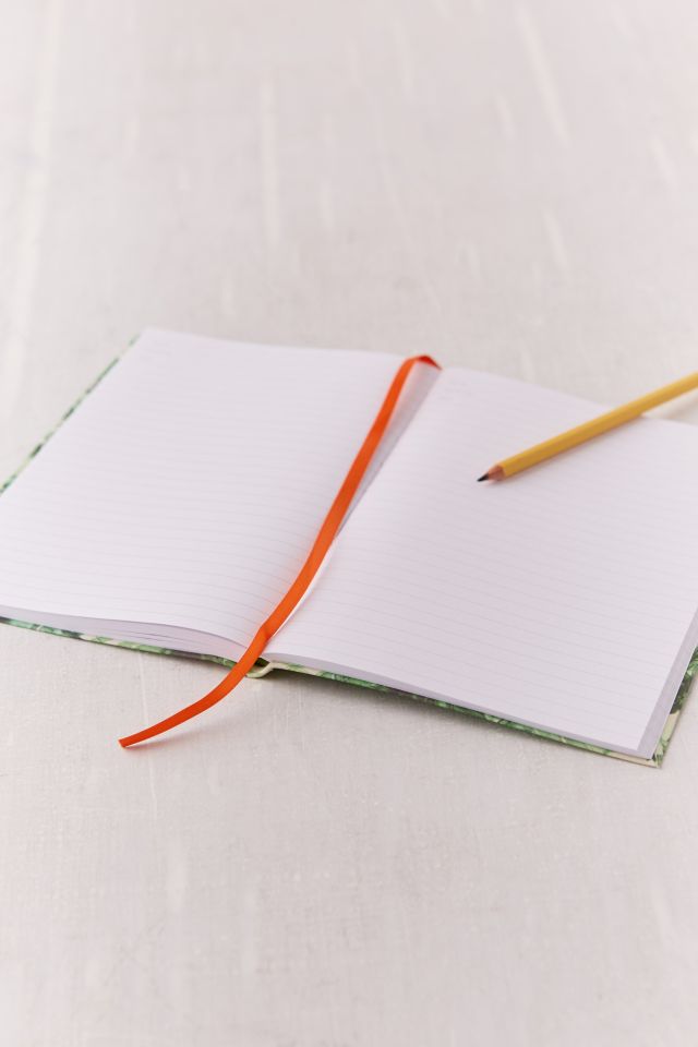 Daily Notebook #2