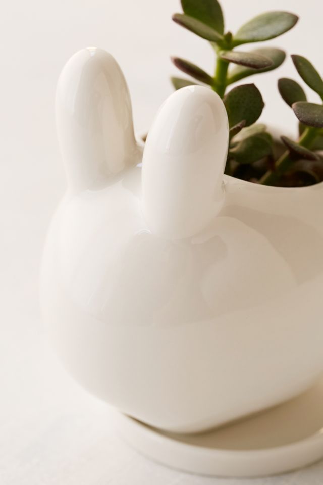 Bunny Succulent Planter #3