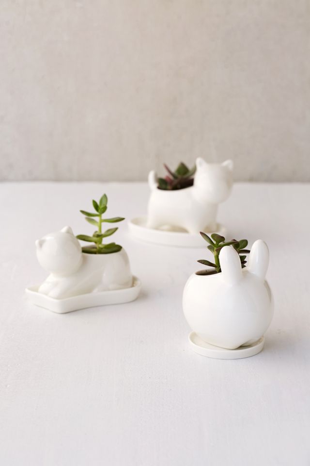 Bunny Succulent Planter #4
