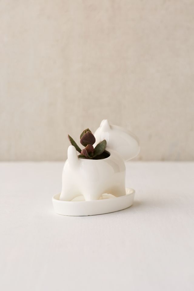 Puppy Succulent Planter #2