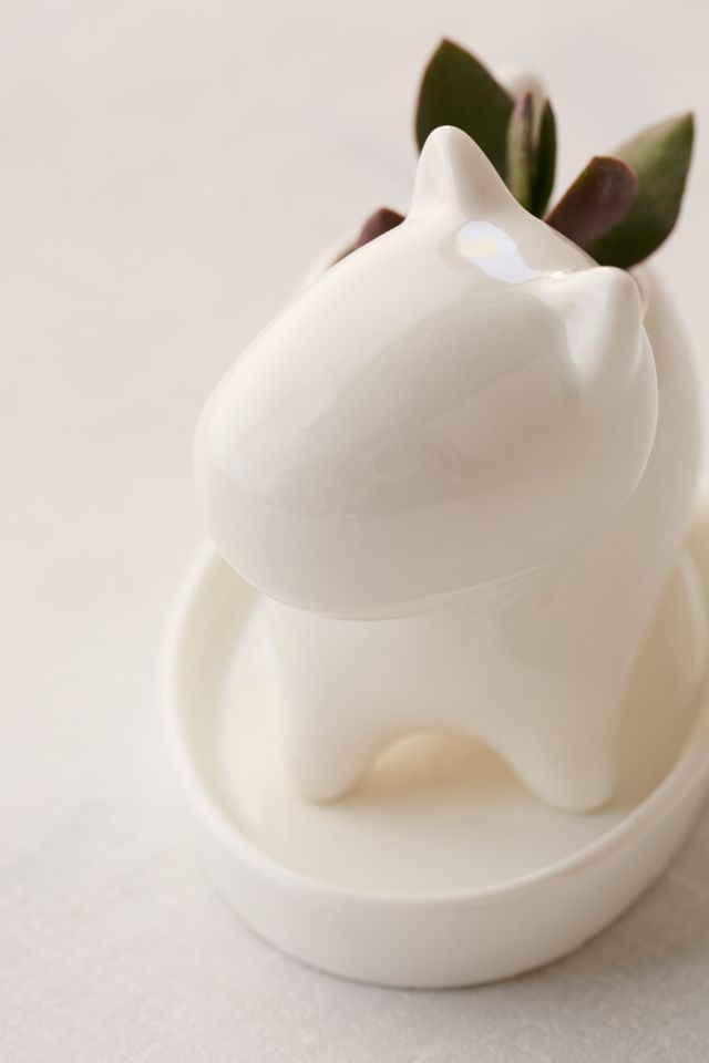 Puppy Succulent Planter #3