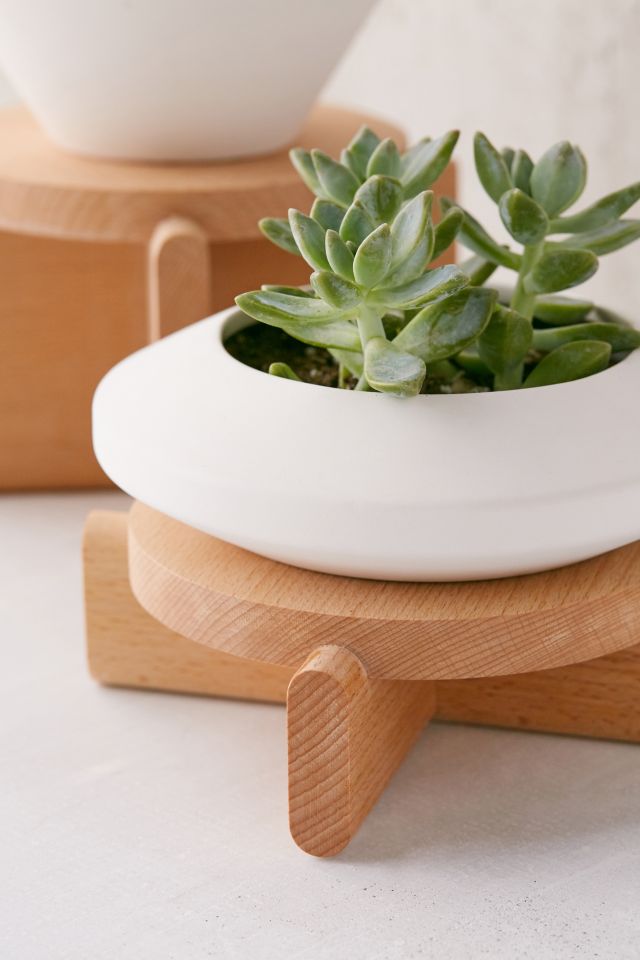 Areaware Tiered Wood Plant Pedestal Set #2