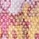 Pink Multi
