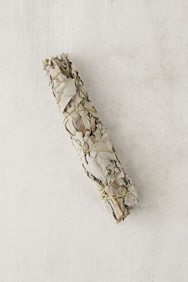 Juniper Ridge Sage Incense Stick #4