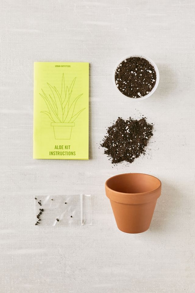 Grow Your Own Aloe Plant Kit #1