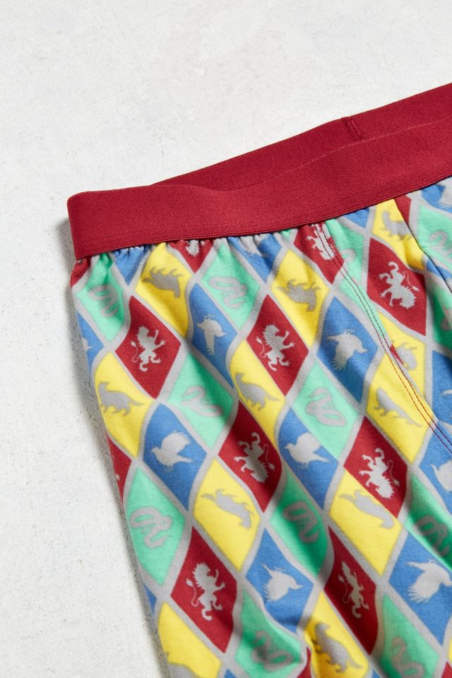 Harry Potter Boxer Brief #1