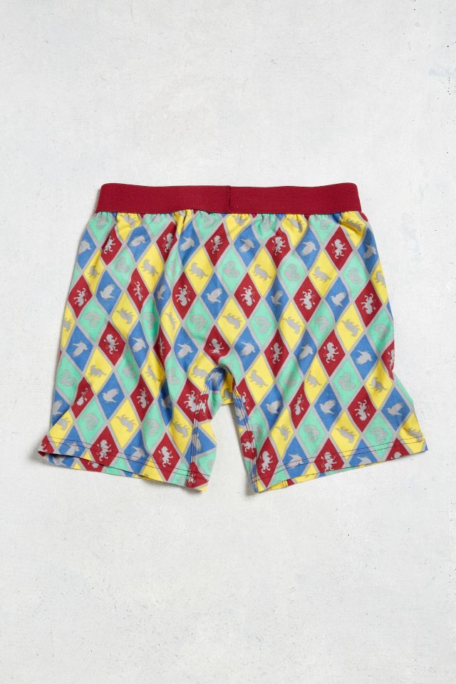 Harry Potter Boxer Brief #2