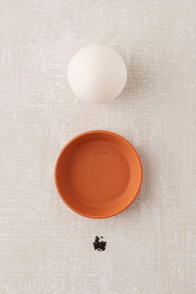 DIY Eggling Planter #3