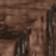 Walnut Wood