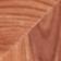 Cedar