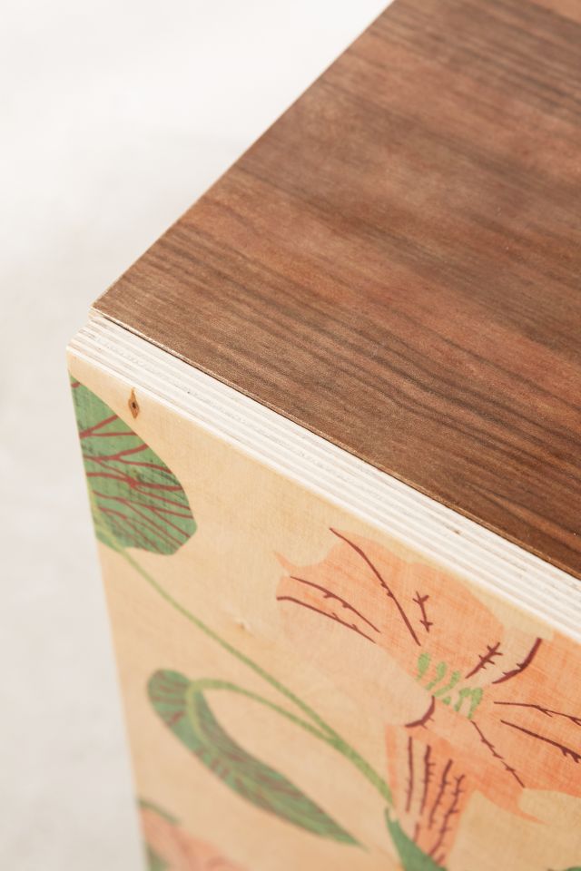 Holli Zollinger For Deny Desert Moonflower Credenza #5