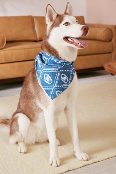 Dash And Ash For Deny Eyes And Skys Pet Bandana