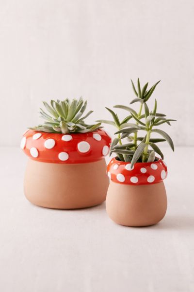 Mushroom Planter Urban Outfitters Canada   43942671 020 B