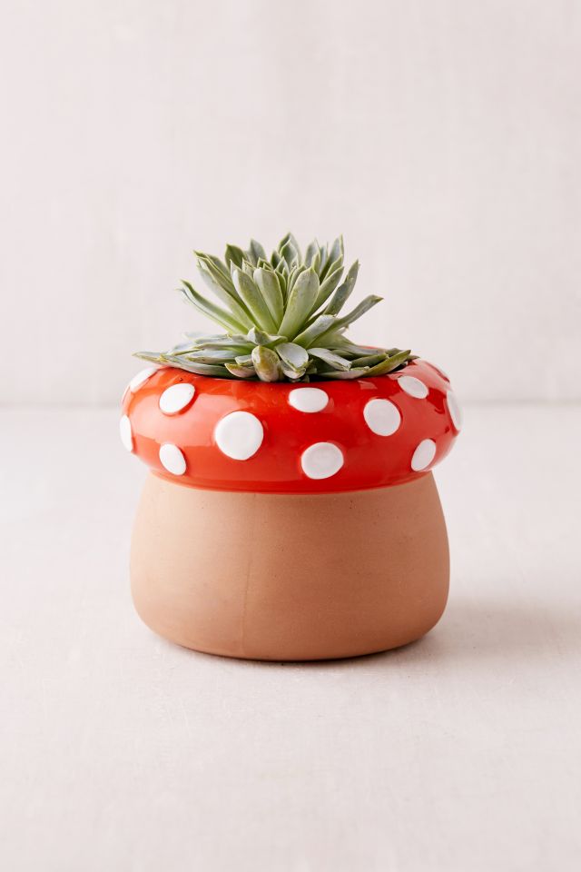 Mushroom Planter #1