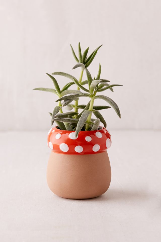 Mushroom Planter #2