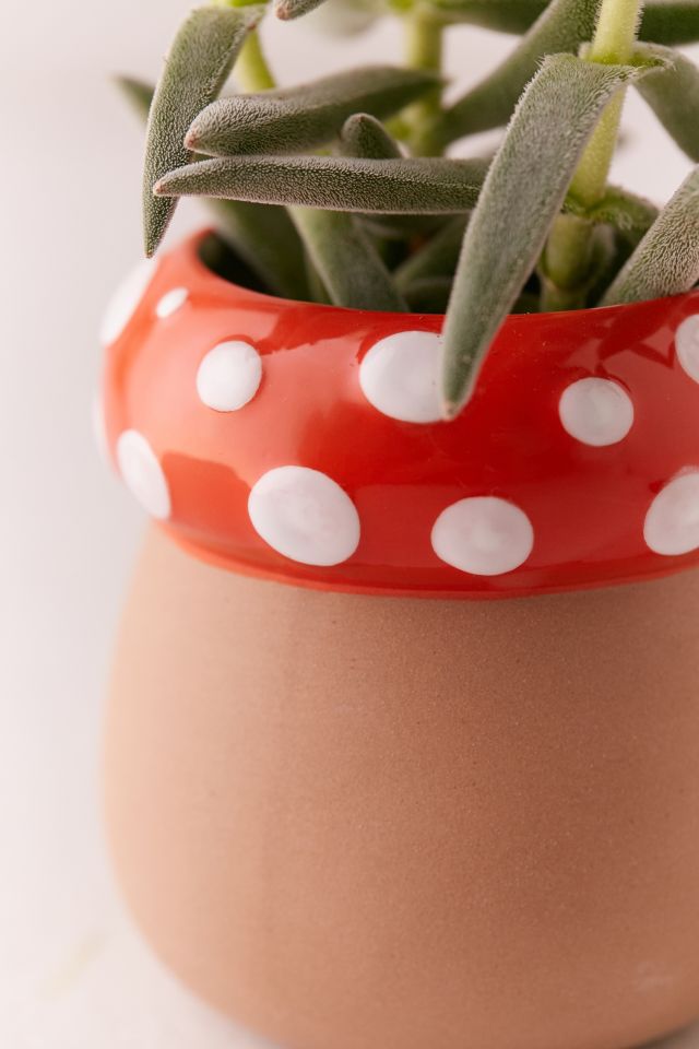 Mushroom Planter #5