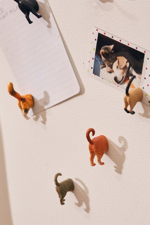 Cat Tail Magnet #1