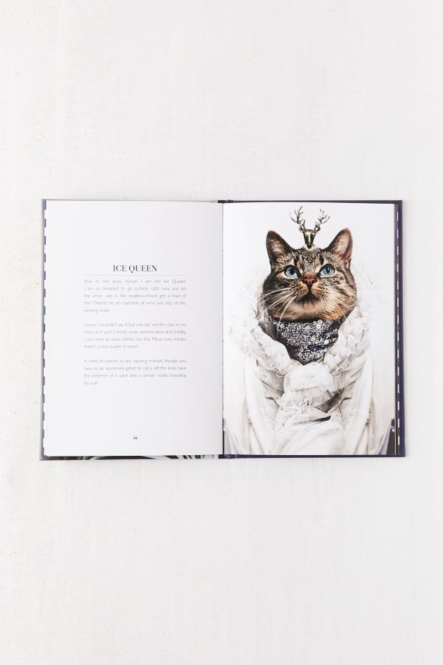 Cat Couture par Jason McGroarty #3
