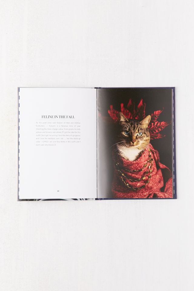 Cat Couture par Jason McGroarty #5