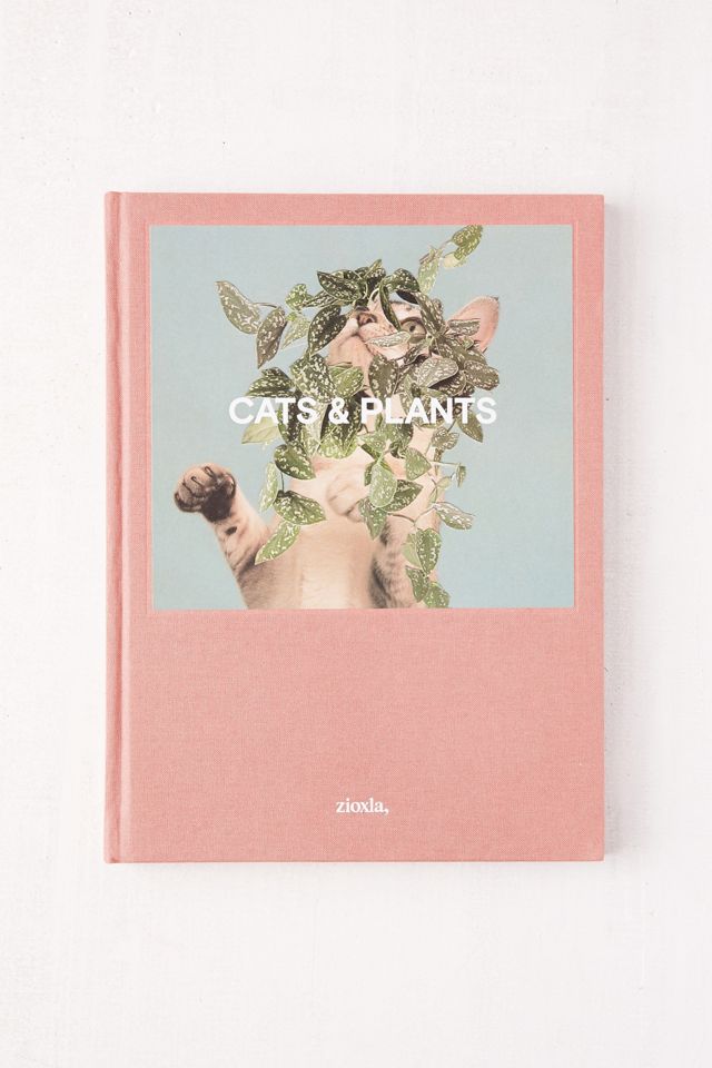 Cats & Plants By Stephen Eichhorn | Urban Outfitters Cats & Plants By Stephen Eichhorn | Urban Outfitters
