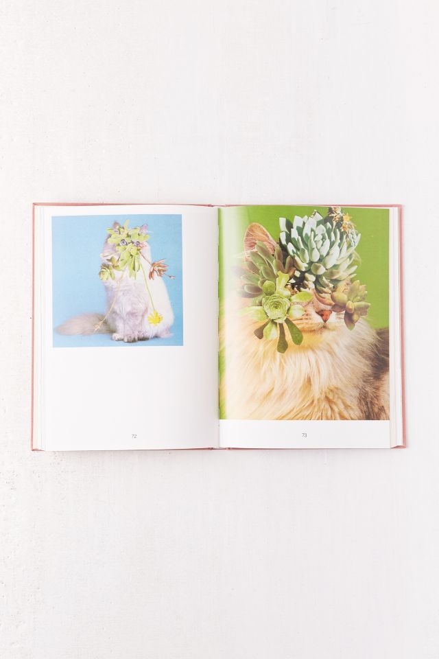 Cats & Plants By Stephen Eichhorn #3