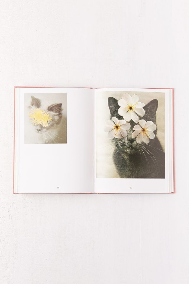 Cats & Plants By Stephen Eichhorn | Urban Outfitters Cats & Plants By Stephen Eichhorn | Urban Outfitters