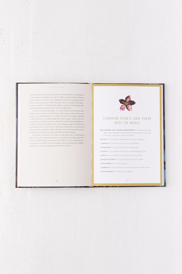 Practical Magic: A Beginner's Guide to Crystals, Horoscopes, Psychics & Spells By Nikki Van De Car #4