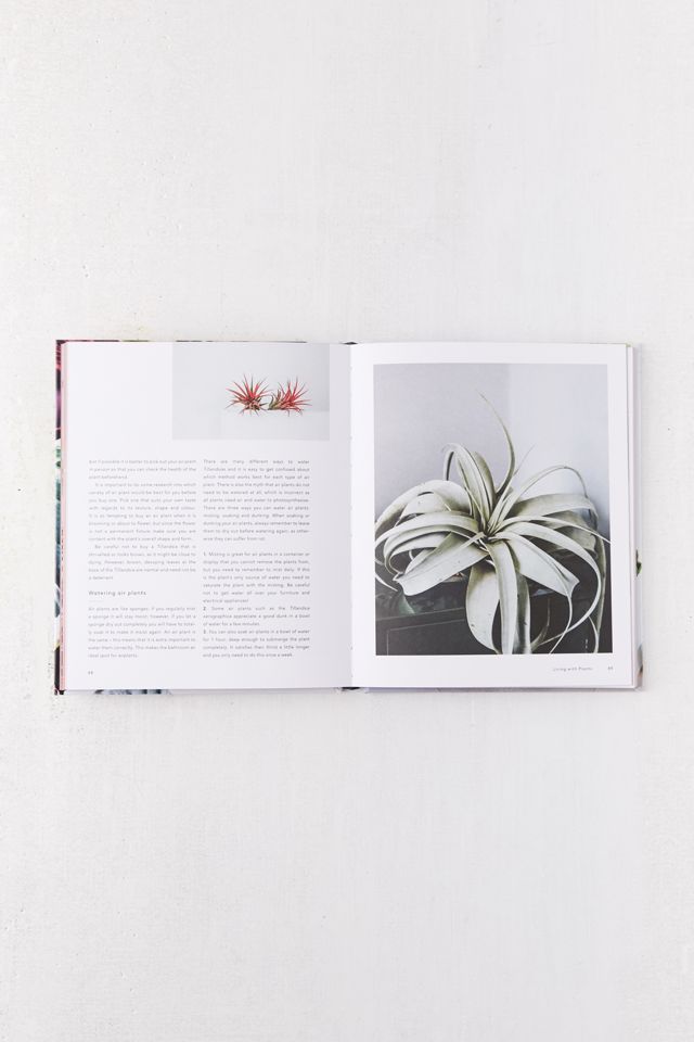Living with Plants: A Guide to Indoor Gardening By Sophie Lee #3