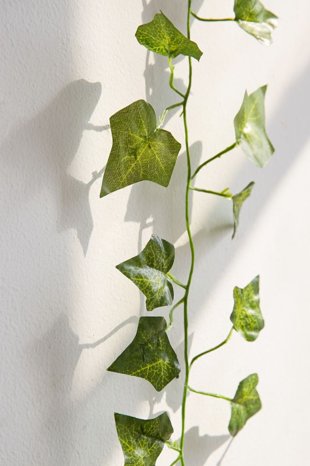 Decorative Vines Set #3