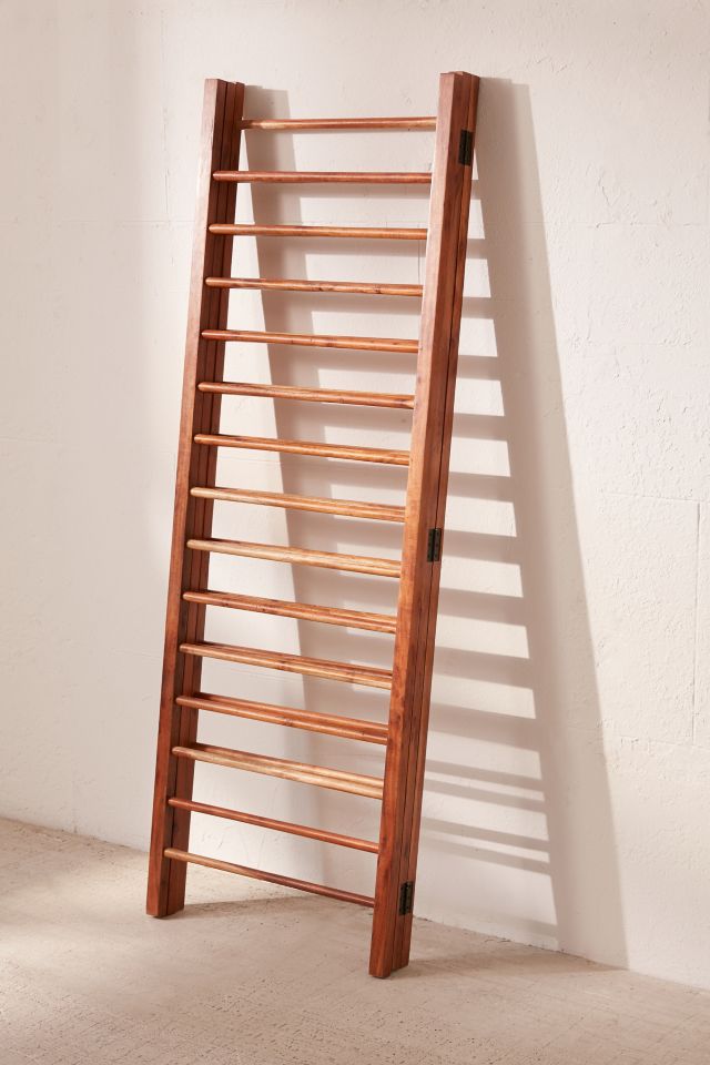 Luciana Ladder Storage Room Divider Screen #2