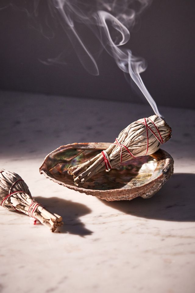 Tamed Wild Apothecary Sage Incense Kit #1
