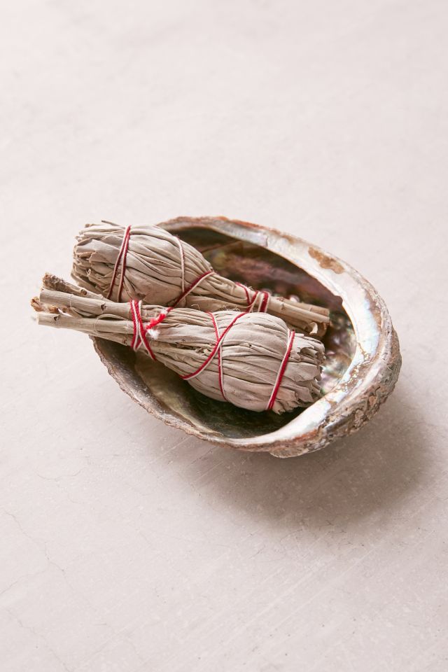 Tamed Wild Apothecary Sage Incense Kit #3