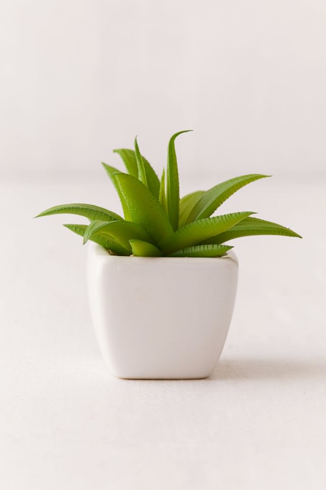 Potted Faux Aloe Succulent Plant