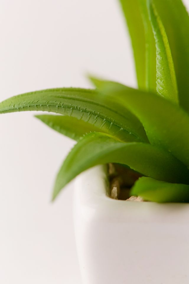 Potted Faux Aloe Succulent Plant #1