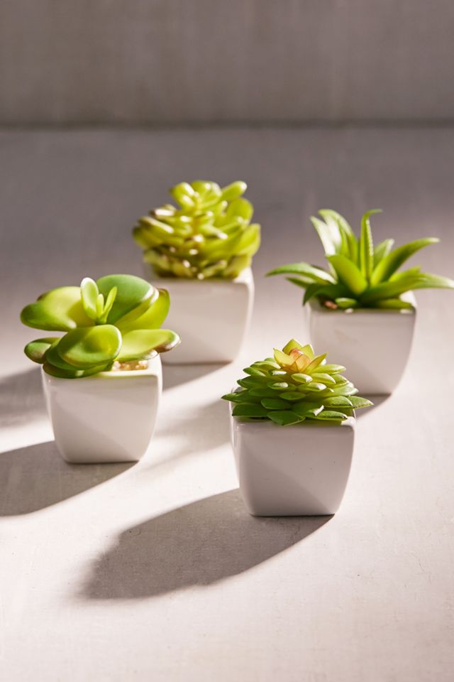 Potted Faux Aloe Succulent Plant #2