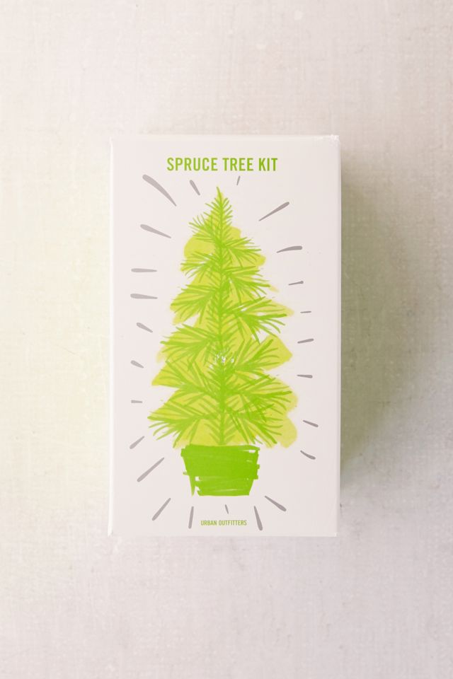 Grow Your Own Spruce Tree Kit