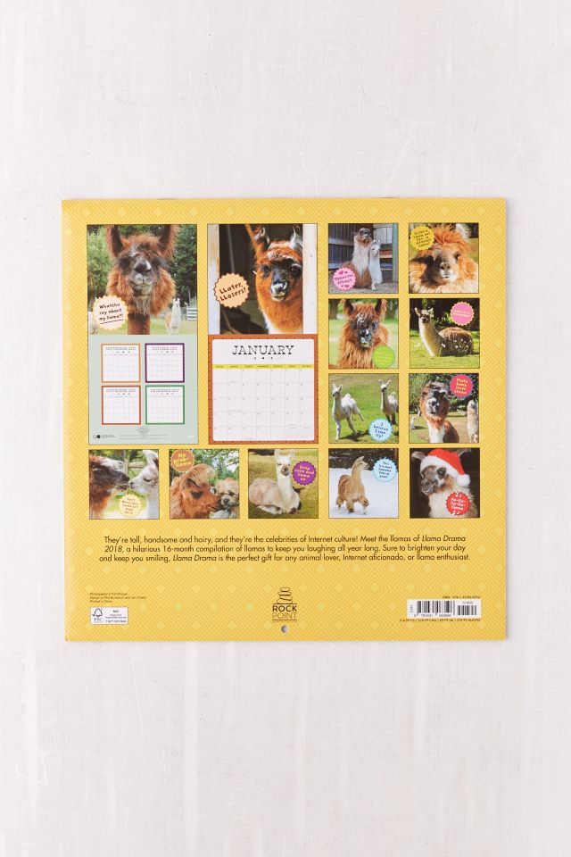 2018 Llama Drama 16-Month Wall Calendar #1
