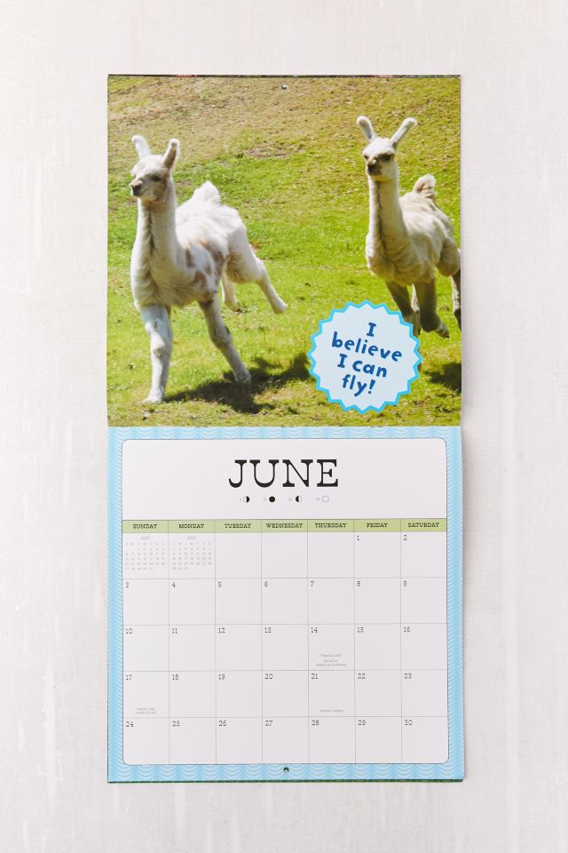 2018 Llama Drama 16-Month Wall Calendar #2