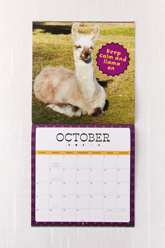 2018 Llama Drama 16-Month Wall Calendar #4
