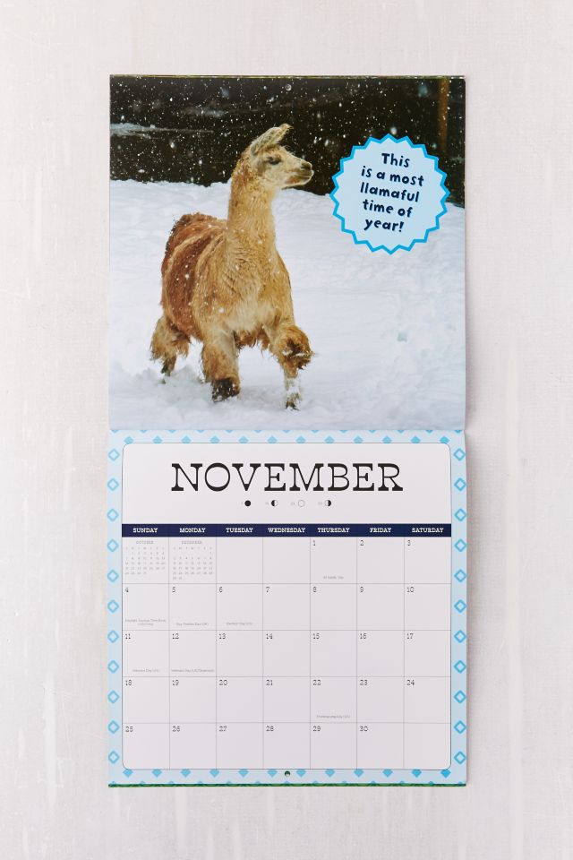 2018 Llama Drama 16-Month Wall Calendar #5