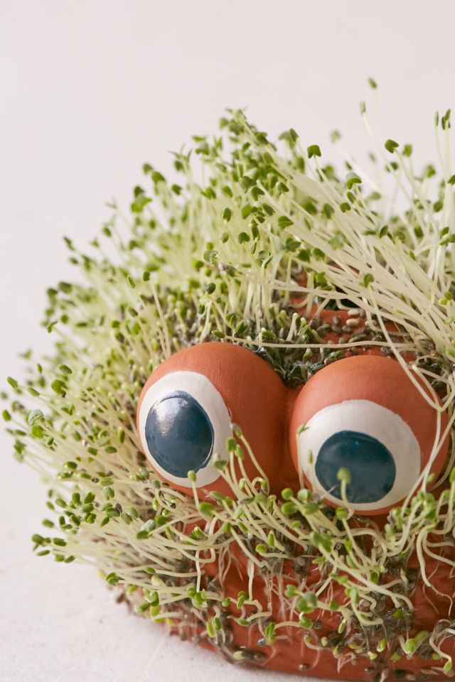 Mini Lil Blob Friend Chia Pet #1