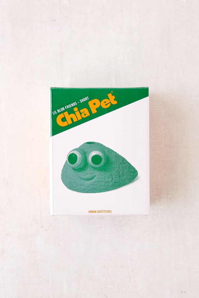 Mini Lil Blob Friend Chia Pet #3