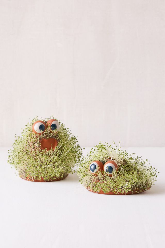Mini Lil Blob Friend Chia Pet #4